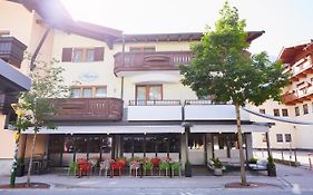 Appartments Alpina